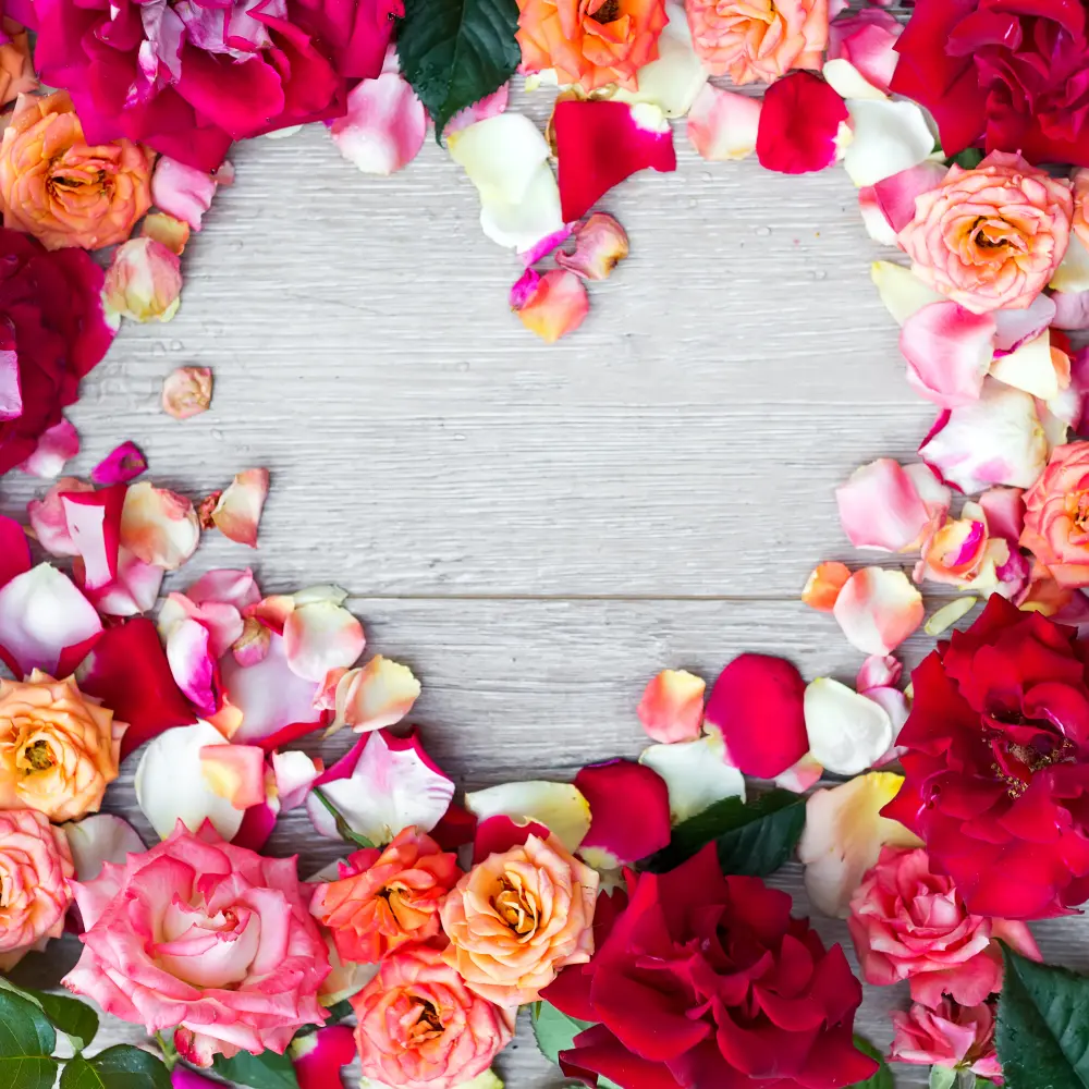 Abonament Clase Yoga (Săptămânal nelimitat)