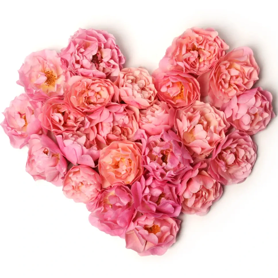 Ședință Remedii Florale