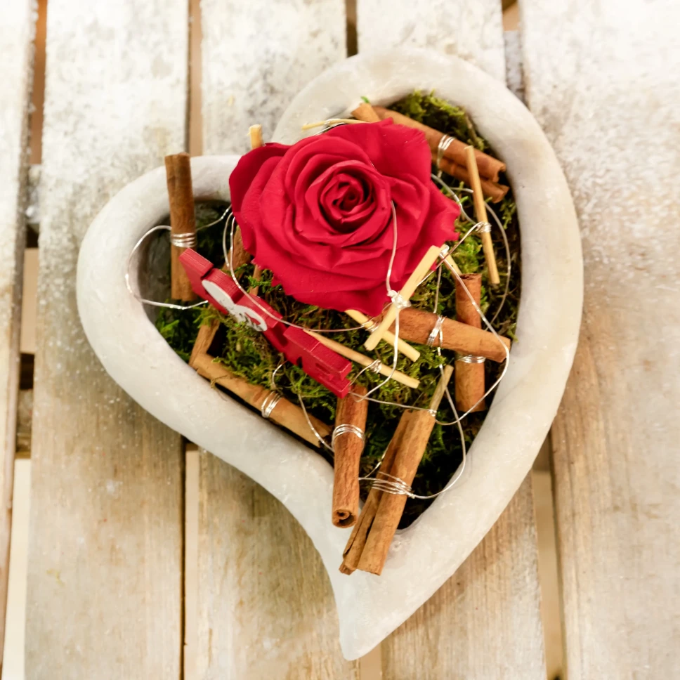 Antrenament Personal (1 Persoana)